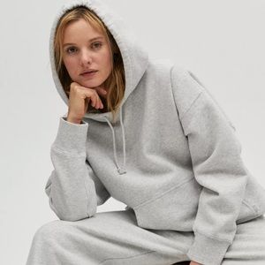 Aritzia Tna NEW COZY FLEECE BOYFRIEND HOODIE in Heather Chrome, Size M